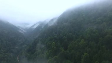 Bulutların arasındaki vahşi ormanlık dağlar. Hava görünümü.