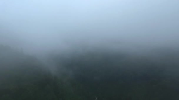 Piloter Drone Dessus Une Forêt Montagne Par Mauvaise Visibilité — Video
