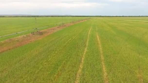 Vista Aérea Del Sistema Riego Campos — Vídeos de Stock