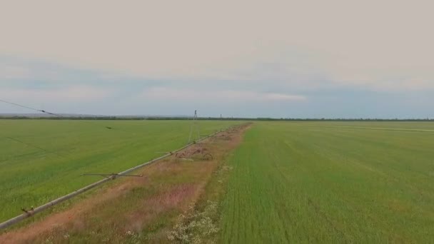 Vista Aérea Sistema Irrigação Dos Campos — Vídeo de Stock