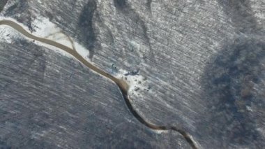 Karlı bir dağ ormanında dolambaçlı bir yol manzarası.