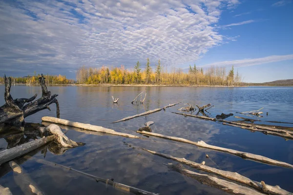 Bosque Otoño Refleja Agua —  Fotos de Stock