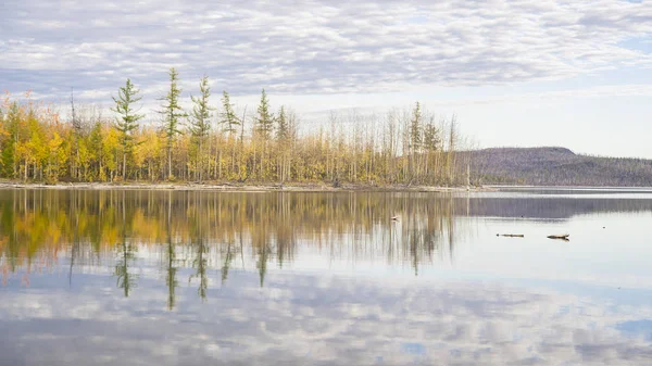 Autumn Forest Reflected Water — Stock Photo, Image