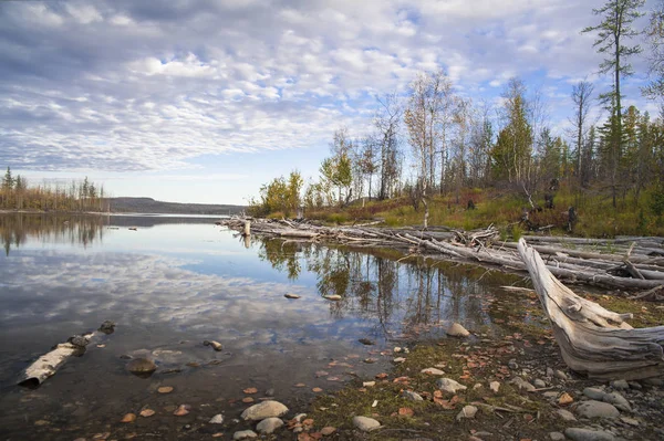 Autumn Forest Reflected Water — Stock Photo, Image