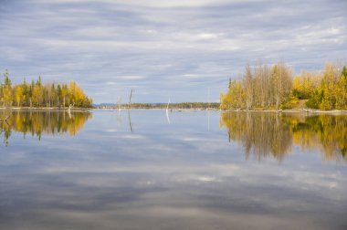 Sonbahar ormanı suya yansıyor.