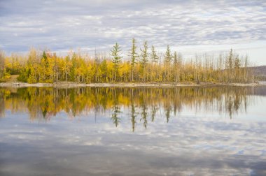 Sonbahar ormanı suya yansıyor.