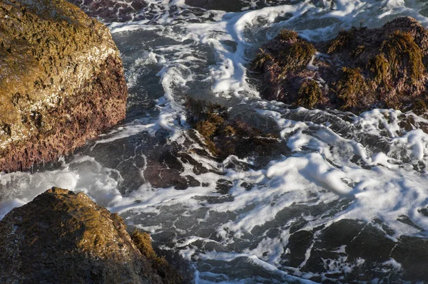 Rush Water Stones Black Sea Republic Crimea — Stock Photo, Image