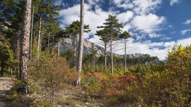 Kırım dağları ve sonbahar ormanı.