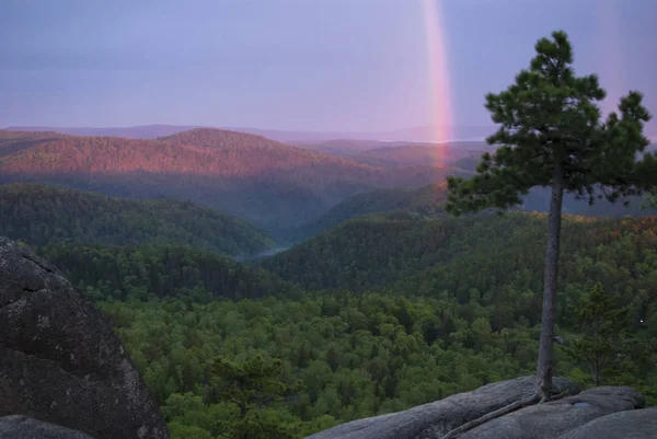 Krasnoyarsk. Stolby Doğa Koruma Alanı. Rock. Dağları
