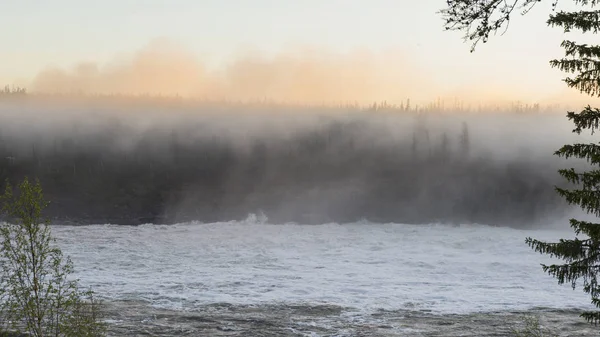 Mist River Forest Sunset — Stock Photo, Image