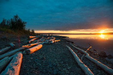 Sahil. Kureiskaya rezervuarı. Kuzey Sibirya. Krasnoyarsk bölgesi.