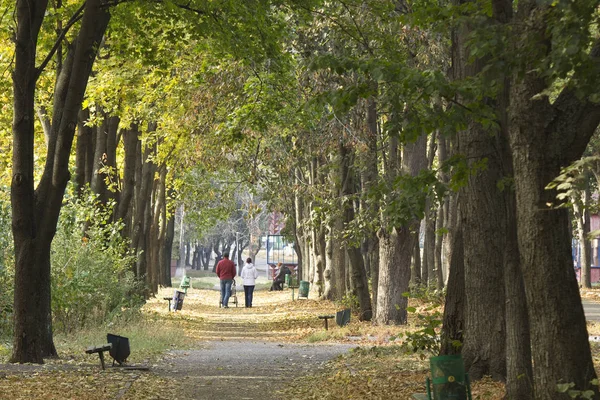 Renkli bir sonbahar park'ın sokak derinliklerinde bir bebek arabası ile birkaç.