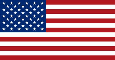 Bayrak tasarım. Amerikan bayrağı beyaz arka planda Tasarımlarınız için yalıtılmış düz düzen. Vektör çizim.