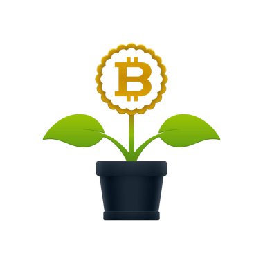 Bitcoin çiçek tencerede ile çiçek