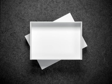 Boş Beyaz Kutu Modeli, 3d biçimlendirmesi