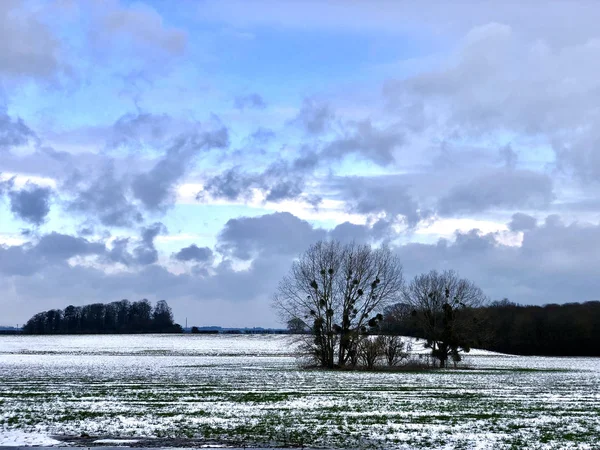 Snötäckta Gårdsplaner Vinterdag Landsbygden Runt Drayton Somerset England Vacker Kylig — Stockfoto