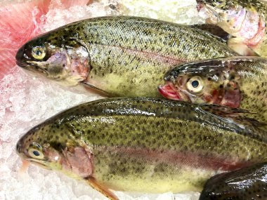 Taze Gökkuşağı Alabalığı Lezzetli bir tatlı su balığı