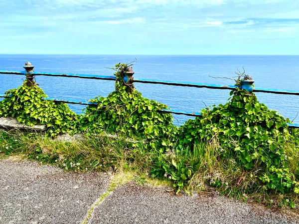 Ivy Old Iron Railings Cliffs Isle Man British Isles — Stock Photo, Image