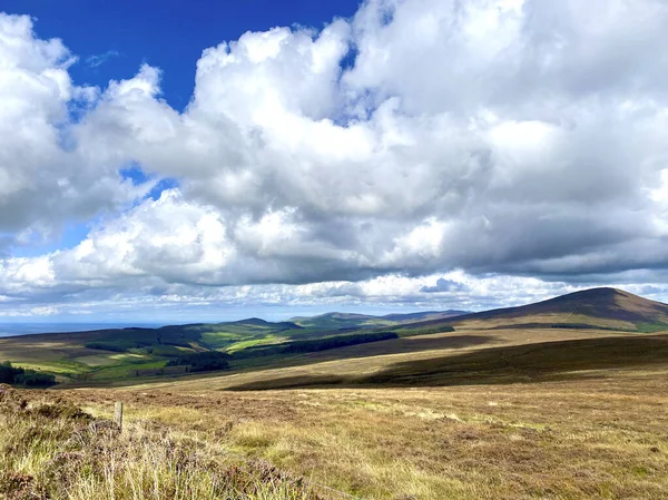 Heidekraut Und Ginster Blühen Auf Den Mooren Der Isle Man — Stockfoto