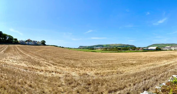 最近在不列颠群岛曼岛埃林港的一个农场收获的麦田 — 图库照片