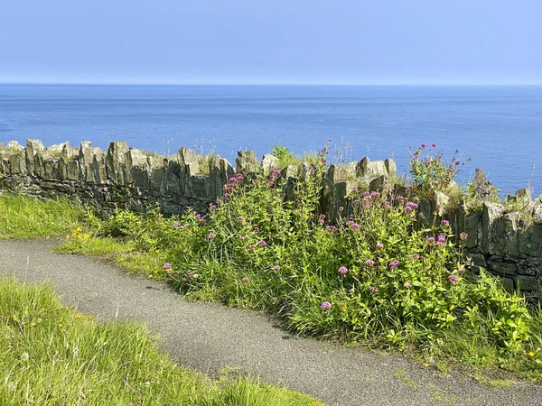 Vacker Oländig Kust Runt Isle Man Detta Område Ligger Längs — Stockfoto