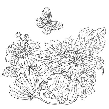 çizilmiş kasımpatı çiçekleri beyaz vektör siyah