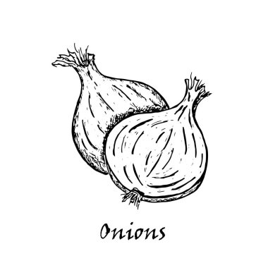 El çizimi iki soğan çekilmiş