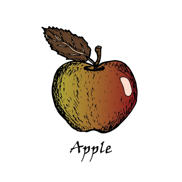 Illustration dessinée à la main d'une pomme avec une feuille verte — Image vectorielle