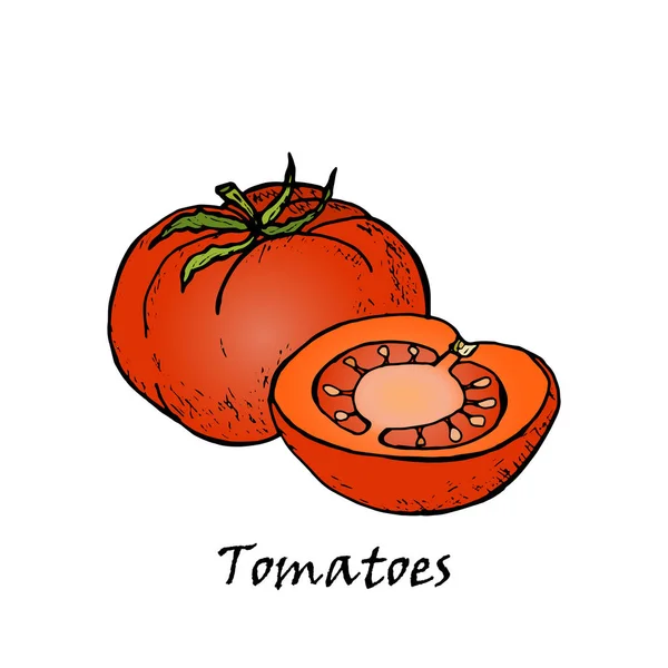 Ručně kreslené ilustrace červených rajčat s zelený list — Stockový vektor