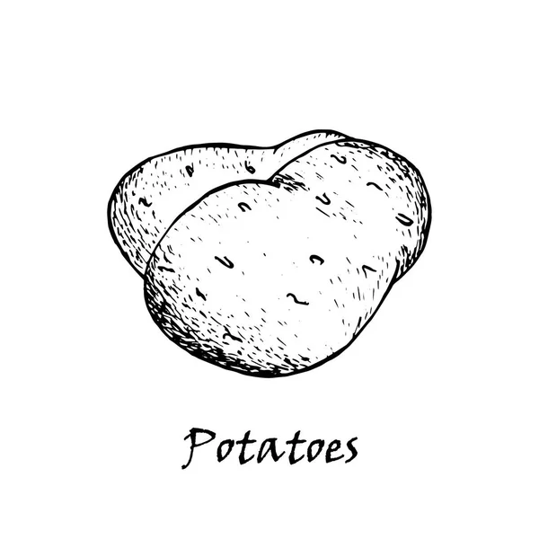 Patates vektör çizim. İzole el çekilmiş patates yığın. 