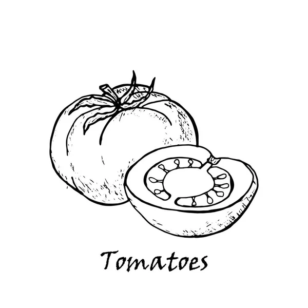 Hand dras illustration av tomater med ett löv — Stock vektor