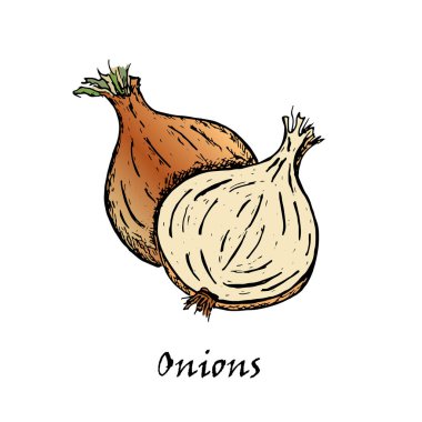 El çizimi iki soğan çekilmiş