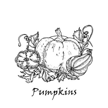 El çizimi üç kabak çekilmiş