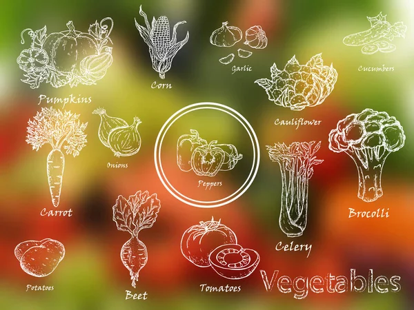 Conjunto de hortalizas elaboradas a mano. — Archivo Imágenes Vectoriales