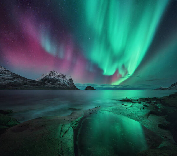 Aurora borealis on night starry sky with vibrant green and pink colors, reflection on water near the rocky shore in winter. Northern lights over beach and snowy mountains in Lofoten Islands, Norway