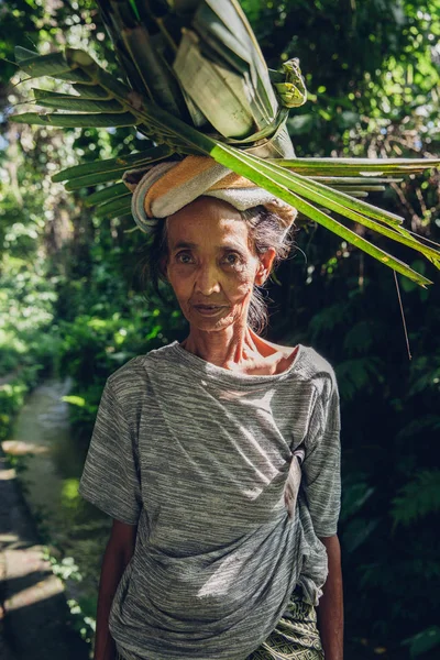 Porträtt Senior Balinesiska Kvinna Som Bär Löv Huvudet Ubud Bali — Stockfoto