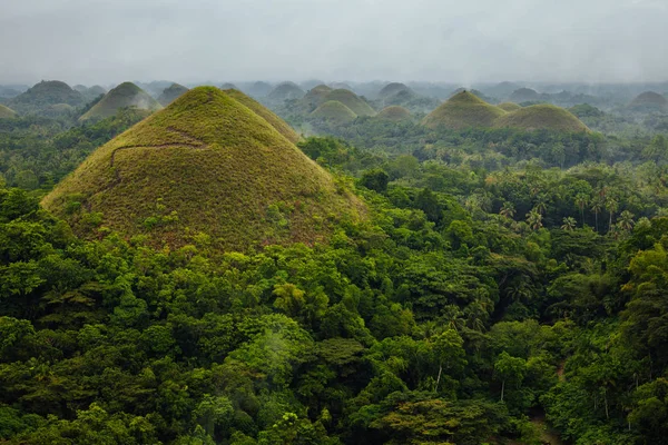 Οι λόφοι σοκολάτας, Bohol, Φιλιππίνες — Φωτογραφία Αρχείου