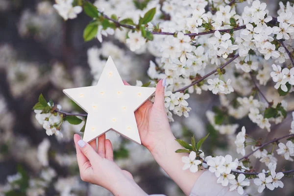 Weibliche Hände Die Weiße Glühende Led Sterne Mit Blühenden Zweigen — Stockfoto