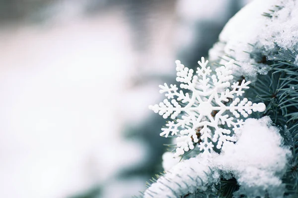 スプルースの枝に白い雪の結晶は 雪で覆われています クリスマス装飾 新年の季節バナー — ストック写真