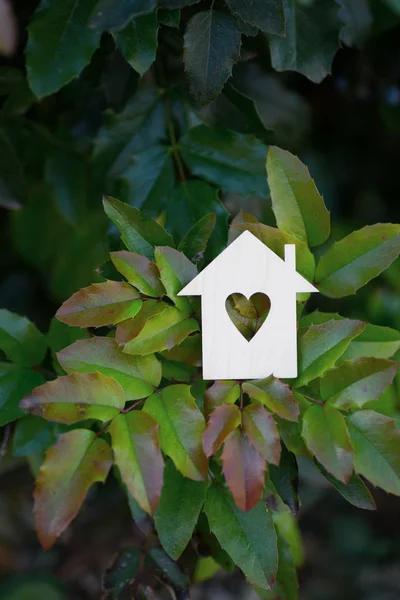Wooden house icon with hole in form of heart surrounded by green leaves outdoor. Concept of love for the environment and nature. Ecological banner with copy space.