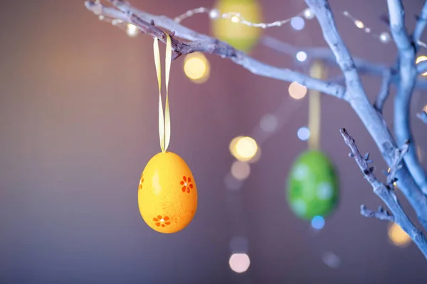 Verziertes buntes Osterei, das drinnen an einem Ast hängt — Stockfoto