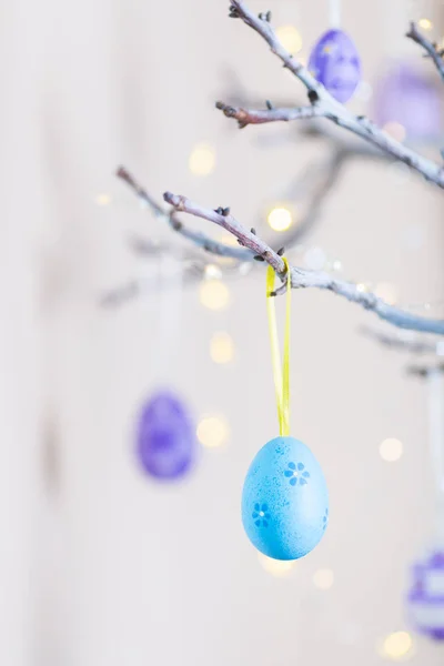 Украшенное красочное пасхальное яйцо висит на ветке дерева в помещении с теплым боке на белом фоне . — стоковое фото
