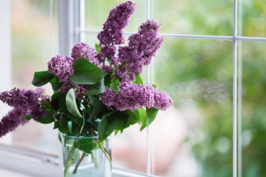 Gün ışığında pencereyakınında cam vazo güzel leylak Bahar ihale buket