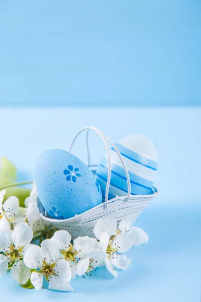 Dos huevos de Pascua pintados de azul en cesta con flores blancas de cerezo de primavera sobre fondo azul claro — Foto de Stock