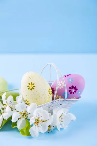 Dos huevos de Pascua pintados de amarillo y púrpura en canasta con flores de cerezo blancas de primavera sobre fondo azul claro — Foto de Stock