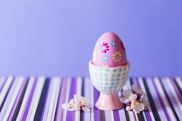 Closeup colorido pintado ovo de Páscoa em suporte de ovo moderno vibrante cercado por galhos de árvore de floração branca em fundo listrado roxo . — Fotografia de Stock