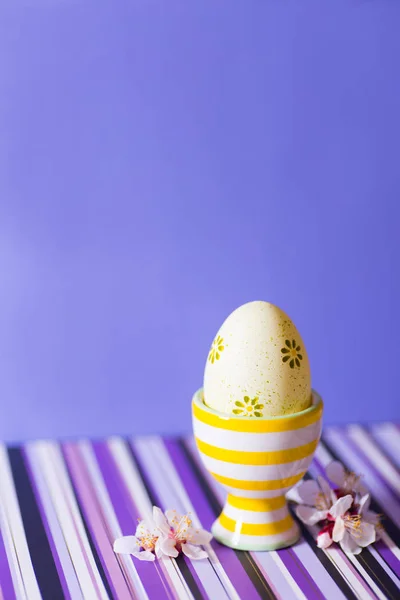 Primer plano colorido pintado huevo de Pascua en pie de huevo moderno vibrante rodeado de ramas de árbol de floración blanca sobre fondo púrpura rayado . — Foto de Stock