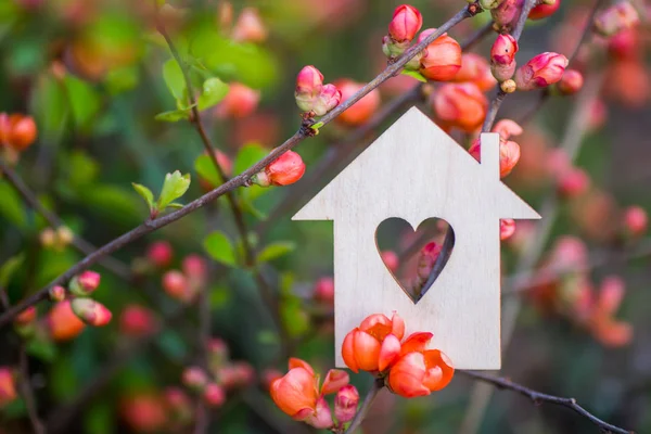 Nahaufnahme Holzhaus mit Loch in Herzform, umgeben von rosa blühenden Zweigen von Frühlingsbäumen. — Stockfoto