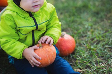Küçük çocuk turuncu kabak tutan ve arka bahçesinde çim üzerinde oturan.