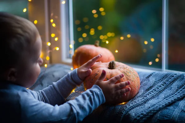 Niño sosteniendo calabaza naranja en punto gris a cuadros cerca de la ventana por la noche rodeado de cálidas luces de guirnalda con bokeh dorado . — Foto de Stock